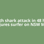 Fourth shark attack in 48 hours injures surfer on NSW Mid