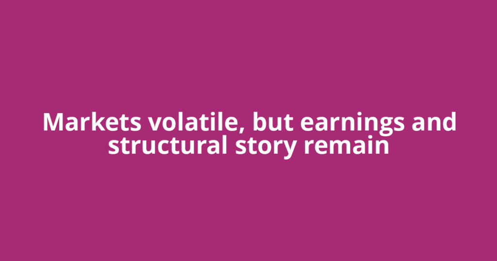 Markets volatile, but earnings and structural story remain