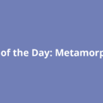 Word of the Day: Metamorphosis