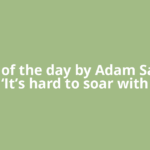 Quote of the day by Adam Sandler: ‘It’s hard to soar with