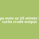 Oil slips even as US winter storm curbs crude output