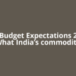 Pre-Budget Expectations 2026: What India’s commodity