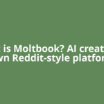 What is Moltbook? AI creates its own Reddit-style platform