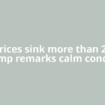 Oil prices sink more than 2% as Trump remarks calm concern