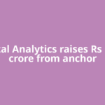 Fractal Analytics raises Rs 1,249 crore from anchor
