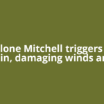 Ex-cyclone Mitchell triggers heavy rain, damaging winds and