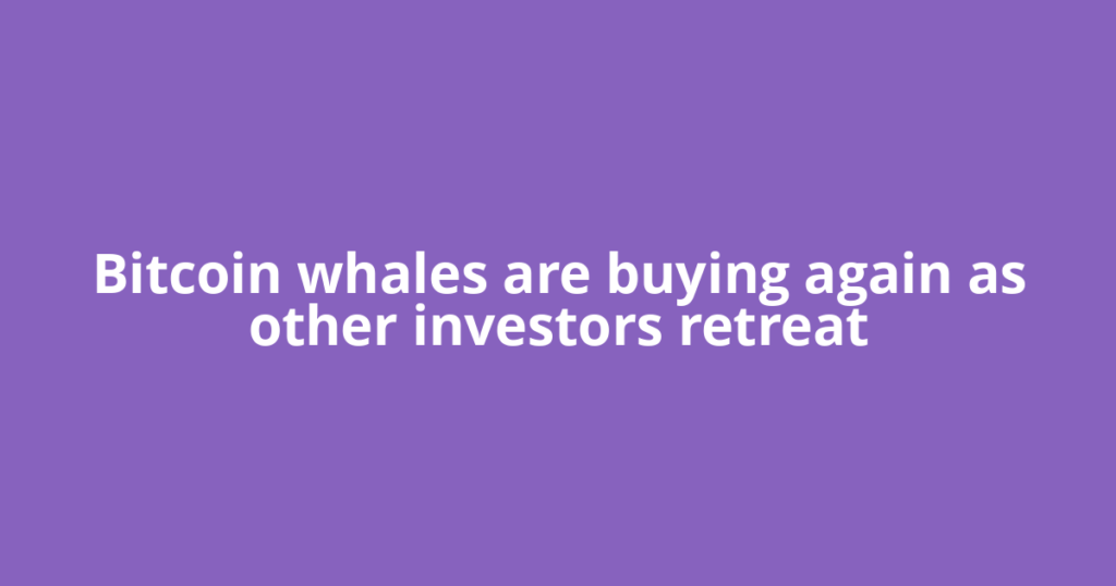 Bitcoin whales are buying again as other investors retreat