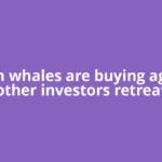 Bitcoin whales are buying again as other investors retreat