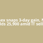 Sensex snaps 3-day gain, Nifty holds 25,900 amid IT selloff