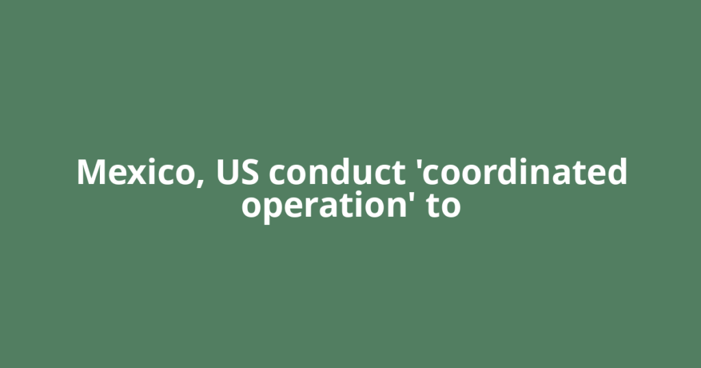 Mexico, US conduct 'coordinated operation' to