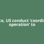 Mexico, US conduct 'coordinated operation' to