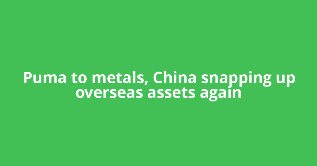 Puma to metals, China snapping up overseas assets again