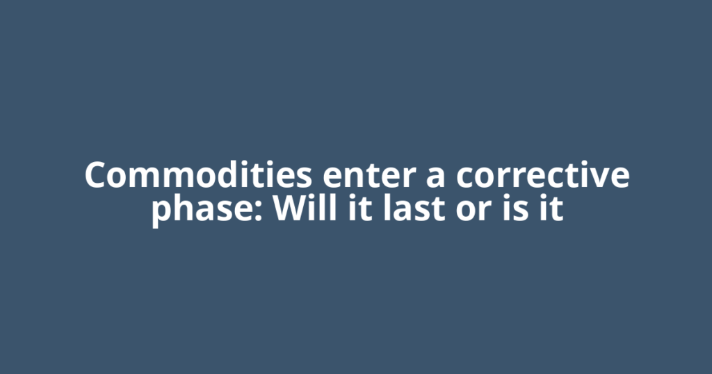 Commodities enter a corrective phase: Will it last or is it