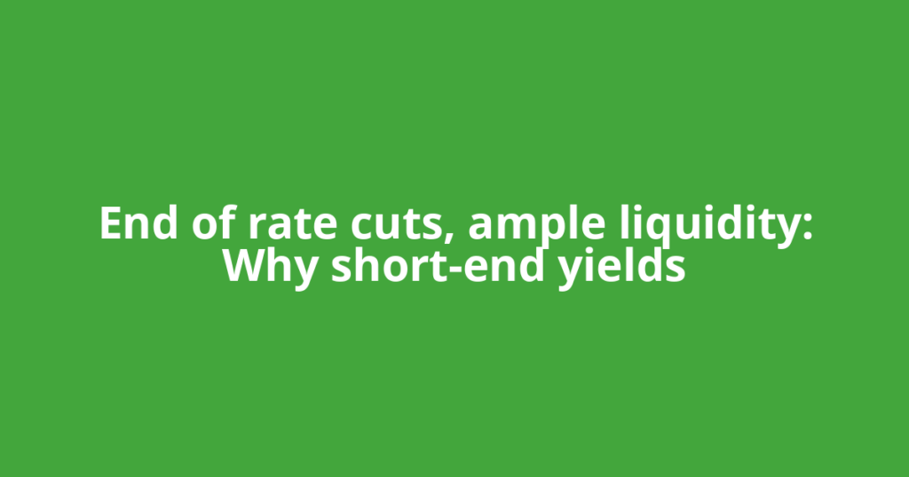 End of rate cuts, ample liquidity: Why short-end yields