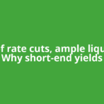 End of rate cuts, ample liquidity: Why short-end yields
