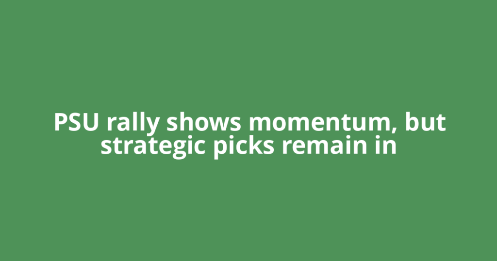 PSU rally shows momentum, but strategic picks remain in