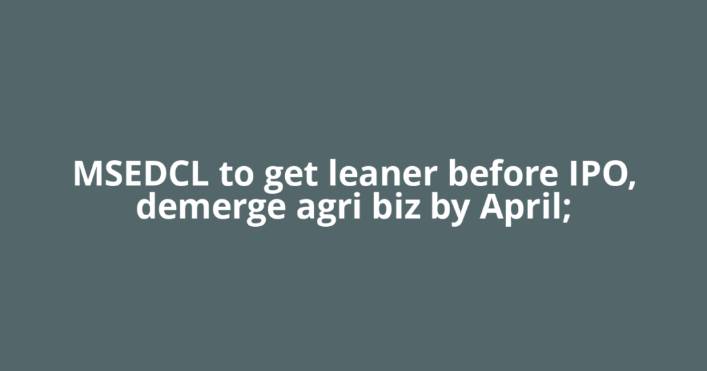 MSEDCL to get leaner before IPO, demerge agri biz by April;