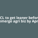 MSEDCL to get leaner before IPO, demerge agri biz by April;