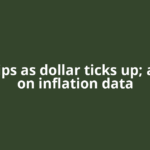 Gold dips as dollar ticks up; all eyes on inflation data