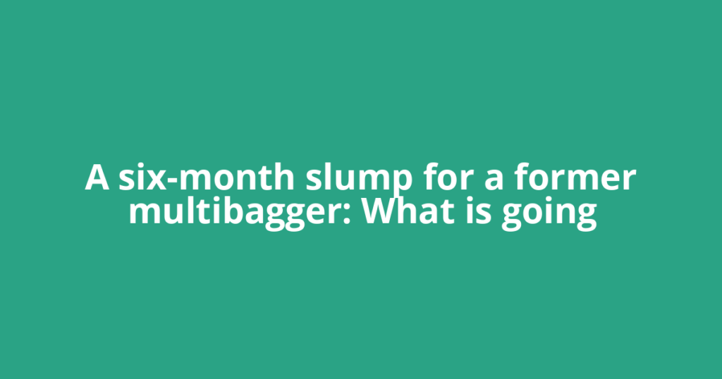 A six-month slump for a former multibagger: What is going
