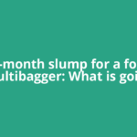 A six-month slump for a former multibagger: What is going