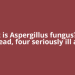 What is Aspergillus fungus? Two dead, four seriously ill as