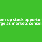 Bottom-up stock opportunities emerge as markets consolidate