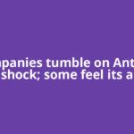 IT companies tumble on Anthropic shock; some feel its a