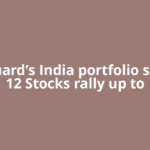 Vanguard’s India portfolio shines: 12 Stocks rally up to