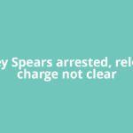 Britney Spears arrested, released; charge not clear