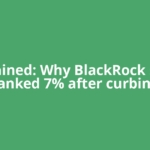 Explained: Why BlackRock stock tanked 7% after curbing