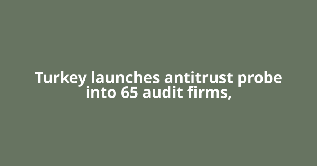 Turkey launches antitrust probe into 65 audit firms,