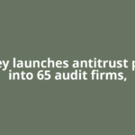 Turkey launches antitrust probe into 65 audit firms,