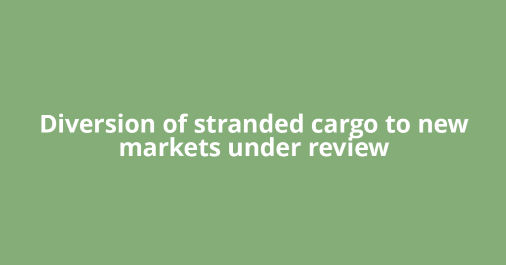 Diversion of stranded cargo to new markets under review