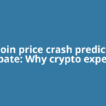 Bitcoin price crash prediction debate: Why crypto experts