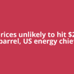 Oil prices unlikely to hit $200 a barrel, US energy chief