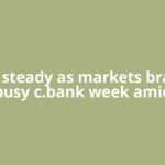 Dollar steady as markets brace for busy c.bank week amid