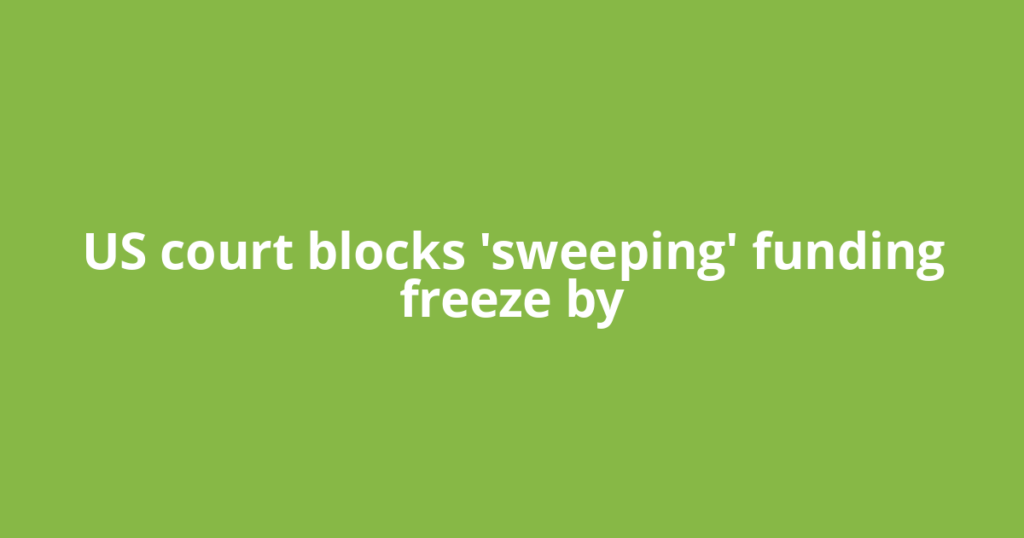 US court blocks 'sweeping' funding freeze by