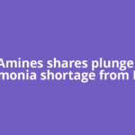 Alkyl Amines shares plunge 4% as ammonia shortage from Iran