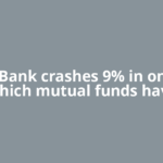 HDFC Bank crashes 9% in one day. Which mutual funds have