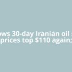 US allows 30-day Iranian oil sale as prices top $110 again;
