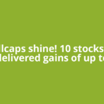 Smallcaps shine! 10 stocks that delivered gains of up to