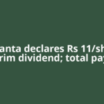 Vedanta declares Rs 11/share interim dividend; total payout