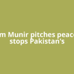As Asim Munir pitches peace, Iran stops Pakistan's