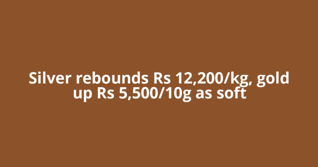 Silver rebounds Rs 12,200/kg, gold up Rs 5,500/10g as soft
