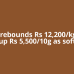 Silver rebounds Rs 12,200/kg, gold up Rs 5,500/10g as soft