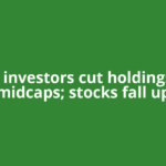 Retail investors cut holdings in 14 midcaps; stocks fall up