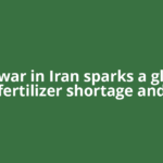 The war in Iran sparks a global fertilizer shortage and