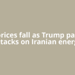Oil prices fall as Trump pauses attacks on Iranian energy