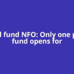 Mutual fund NFO: Only one passive fund opens for